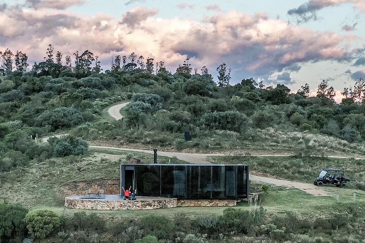 Uncover a Secluded Vineyard for Lunch
