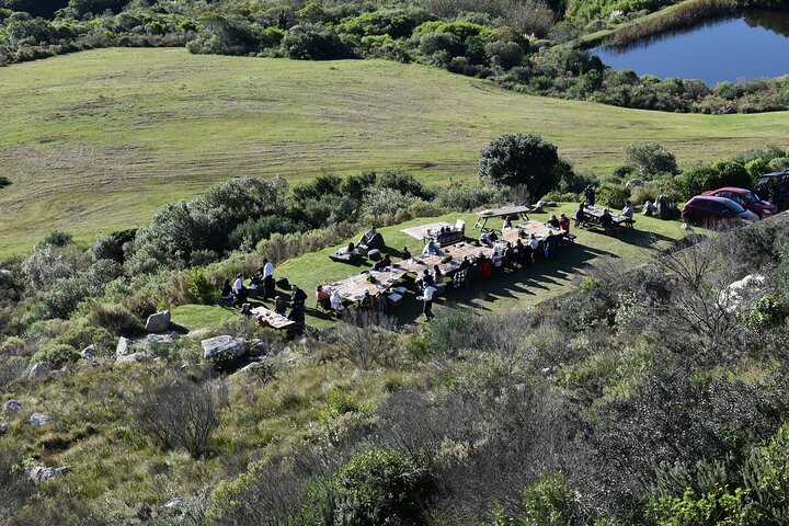 Uncover a Secluded Vineyard for Lunch