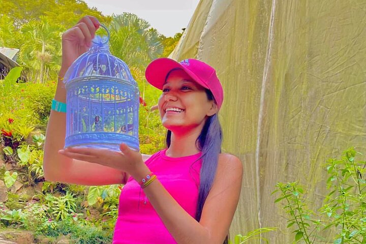 Admission to Andoke Butterfly Center in Cali with Release Ritual