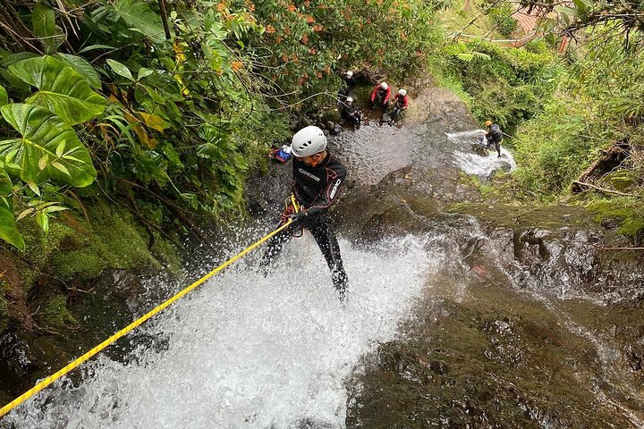 Rappelling and Torrentism