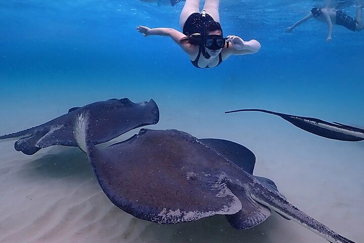 Stingray City and Starfish Experience with Coral Reef Snorkeling