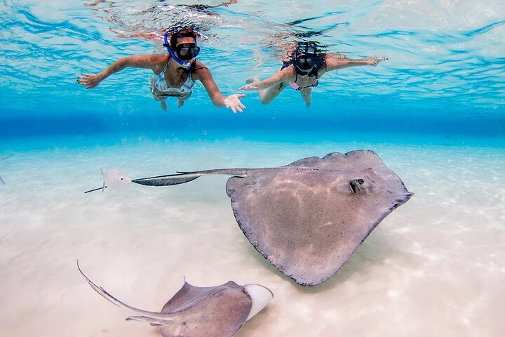 Stingray City and Starfish Experience with Coral Reef Snorkeling