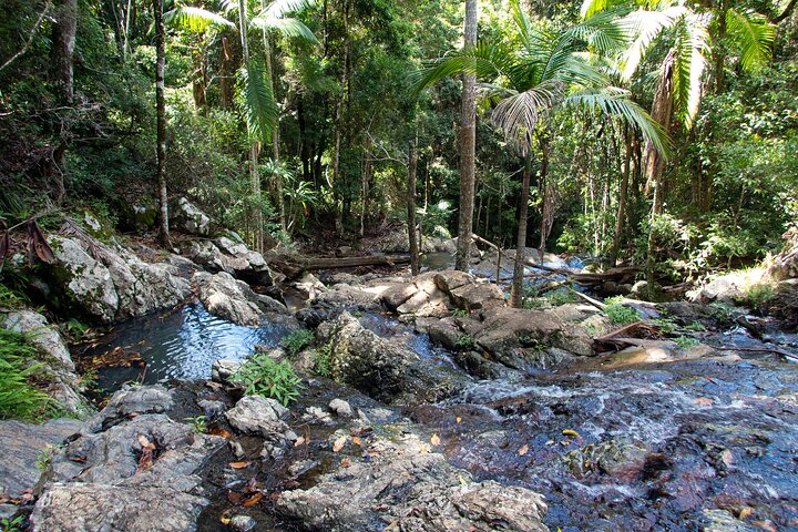 Maiala Rainforest Tour