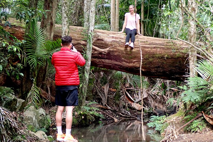 Maiala Rainforest Tour