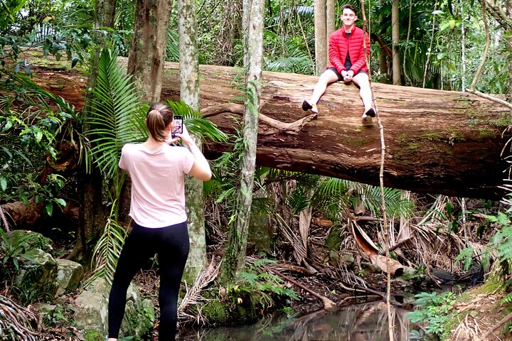 Maiala Rainforest Tour