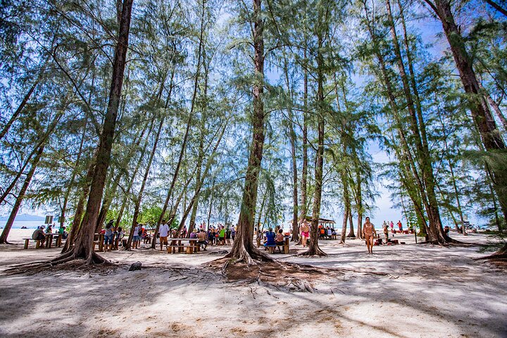 Snorkeling Phi Phi Islands Tour From Phi Phi by Speedboat