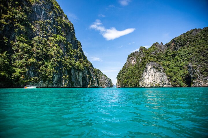 Snorkeling Phi Phi Islands Tour From Phi Phi by Speedboat