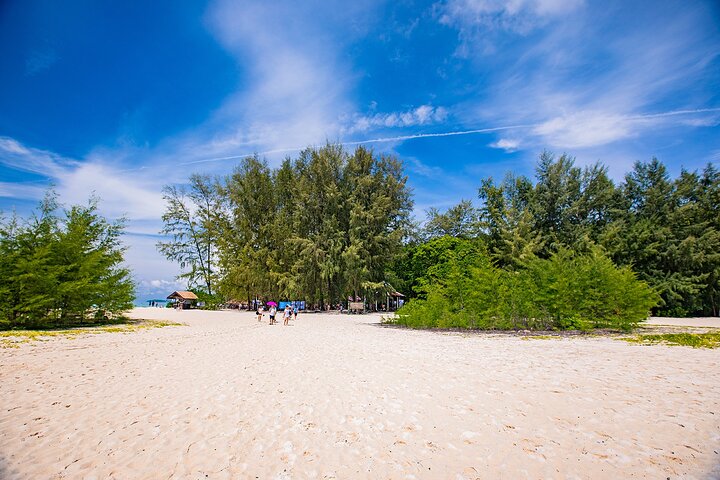 Snorkeling Phi Phi Islands Tour From Phi Phi by Speedboat