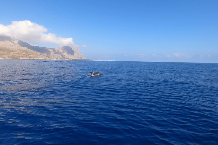 8-Hour Boat Tour from Castellammare del Golfo to San Vito Lo Capo