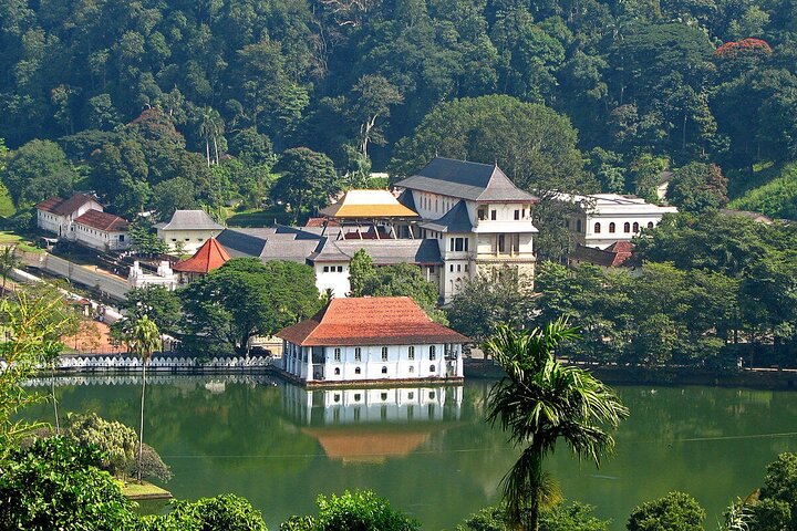 Kandy Heritage & Kingdom Discovery-All Inclusive Private Day Trip