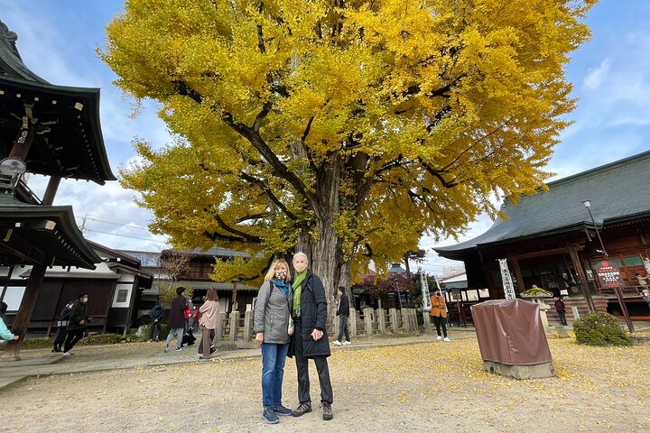 Takayama Arts & Crafts Local Culture Tour, Licensed Guide