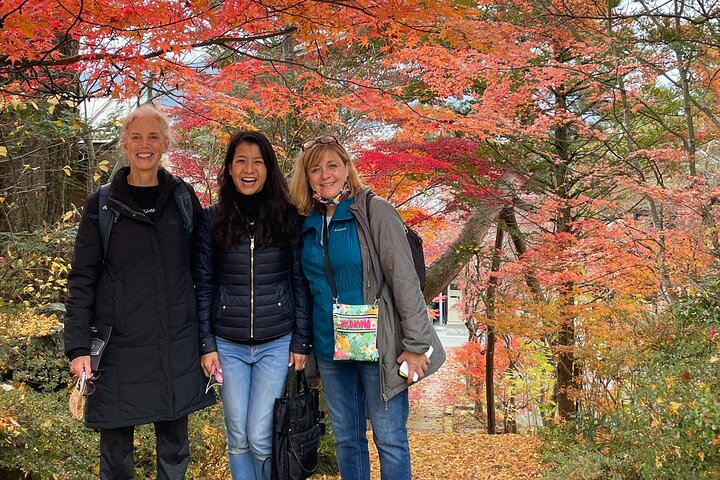 Takayama Local Food & Sake Culture Tour, Licensed Guide
