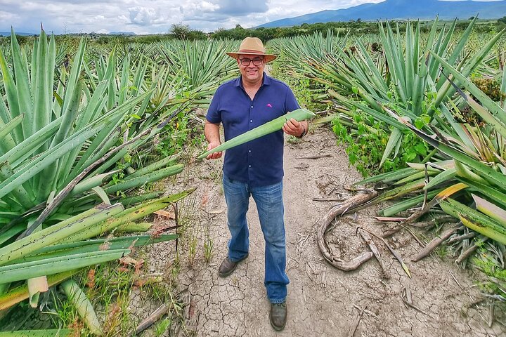 Private Tour: Monte Albán, Hierve el Agua, Teotitlán and Mezcal