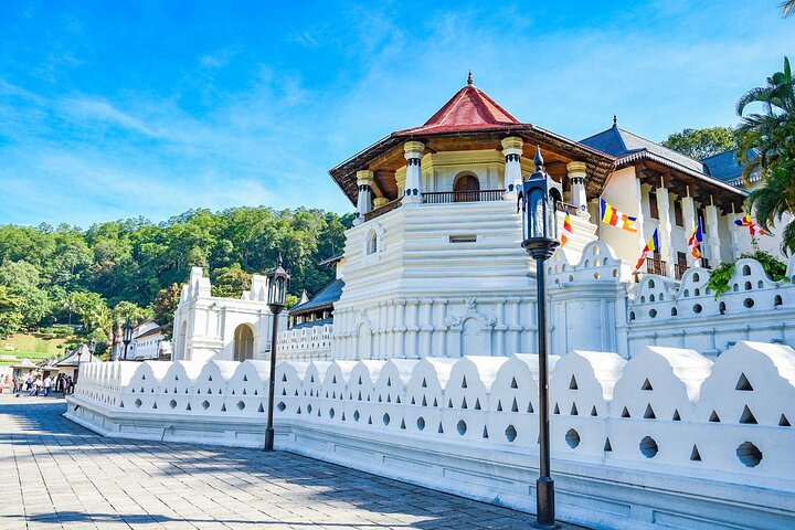 Sigiriya To Kandy Private Transport With Sightseeing