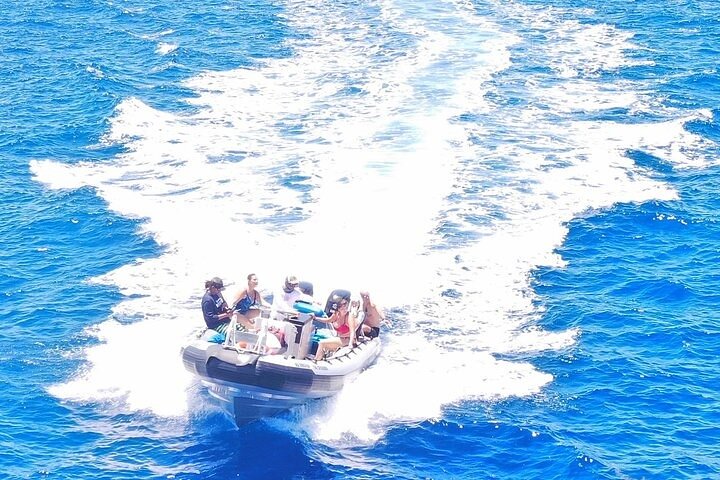 Kona Snorkel Tour: Captain Cook Reef Snorkel, Dolphin & Sea Caves