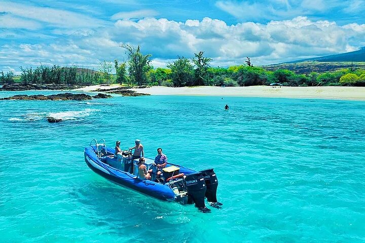 Kona Snorkel Tour: Captain Cook Reef Snorkel, Dolphin & Sea Caves