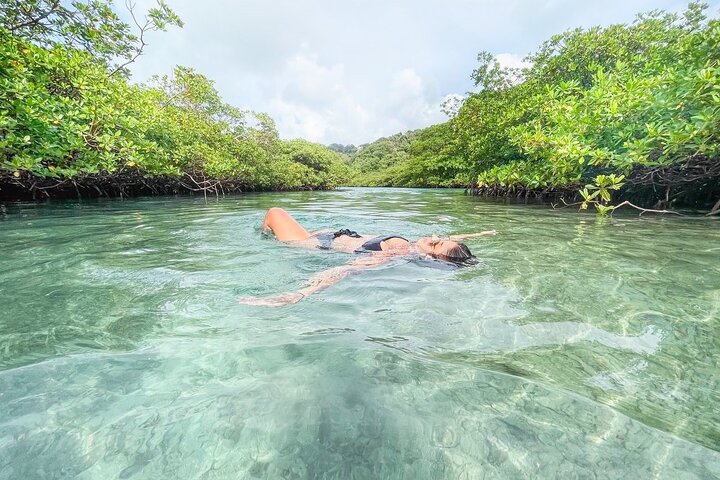 Full-Day Caribbean Catamaran Cruise: Beaches, Snorkeling & Lunch
