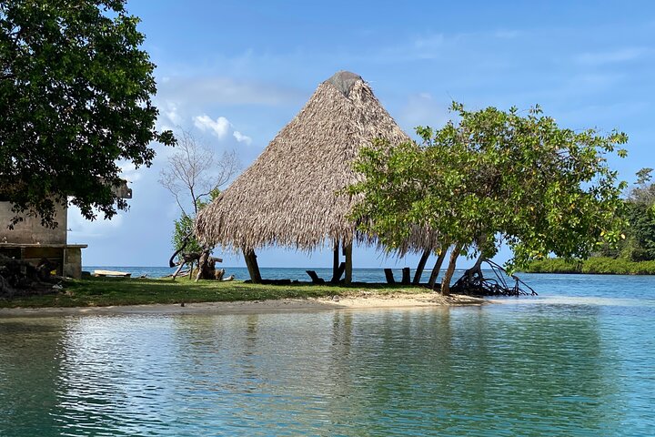 Full-Day Caribbean Catamaran Cruise: Beaches, Snorkeling & Lunch