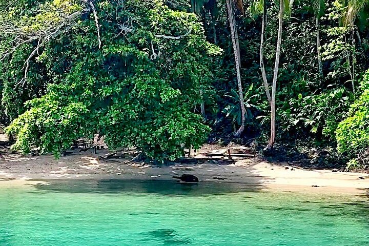 Full-Day Caribbean Catamaran Cruise: Beaches, Snorkeling & Lunch