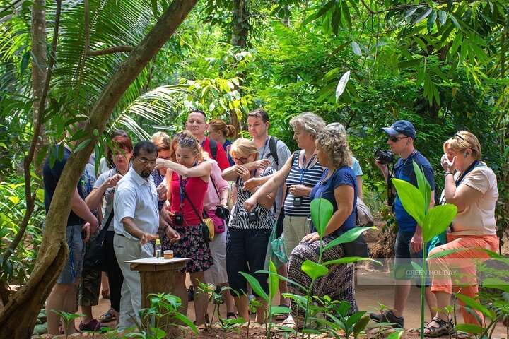 Kandy Heritage & Kingdom Discovery-All Inclusive Private Day Trip