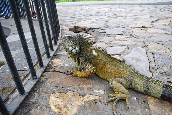 Guayaquil Private Experience - City Tour for Seniors