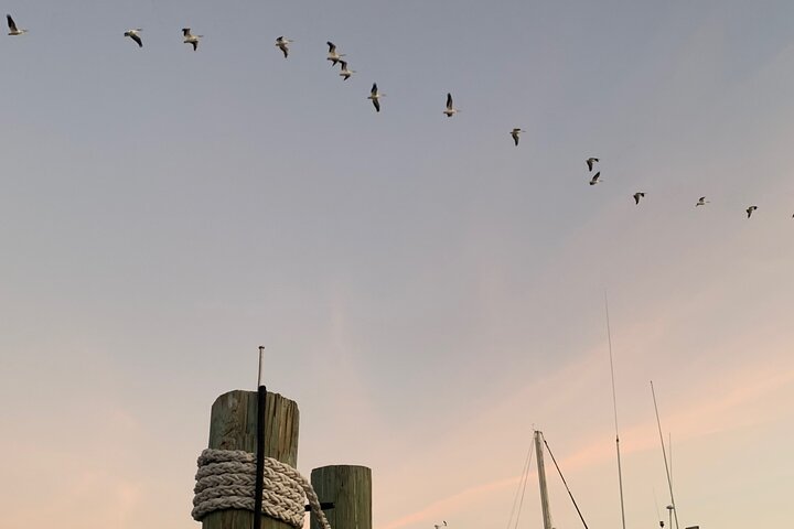 Southwest Florida Sunset Sail