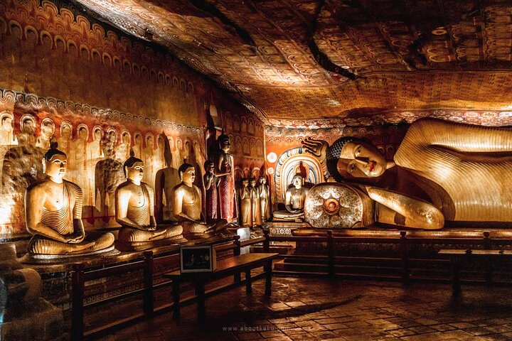 Sigiriya & Dambulla Day Trip with Lunch : Private & All-Inclusive