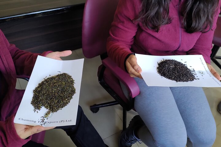 Tea Pluckers' Day