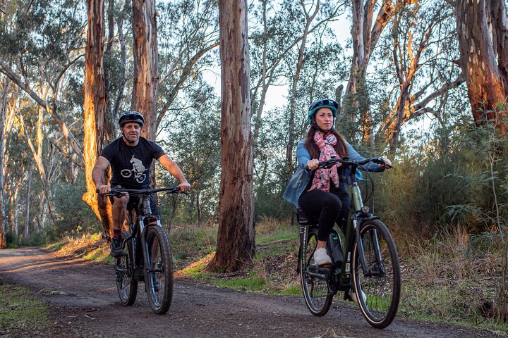 E-Mountain Bike Hire Echuca Moama - Full Day