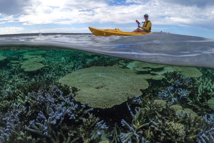 Coral By Kayak - Ningaloo Reef Half Day Kayak & Snorkel Tour
