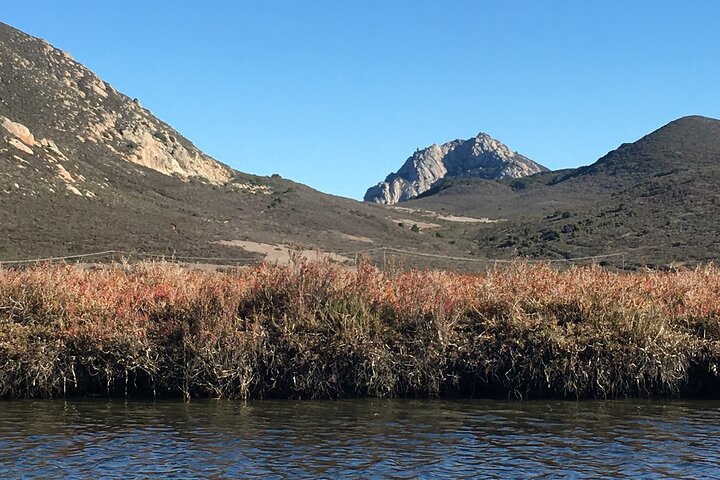 3-Hour Kayaking and Hiking in California’s Central Coast
