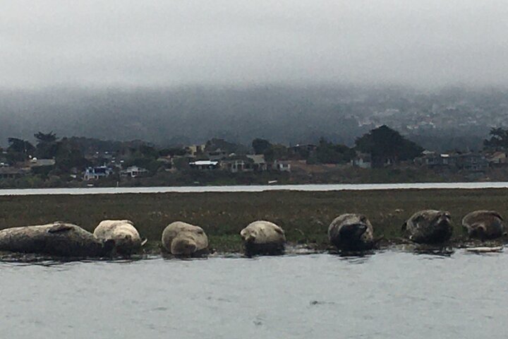 3-Hour Kayaking and Hiking in California’s Central Coast