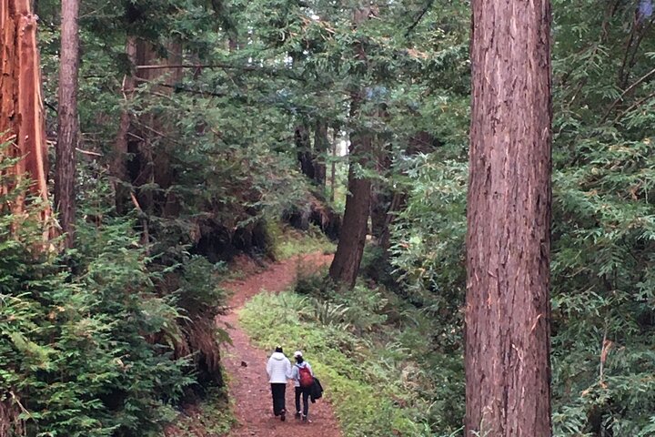 3-Hour Kayaking and Hiking in California’s Central Coast