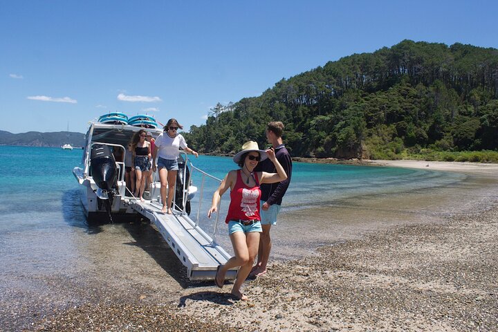 Hole in the Rock Cruise & Island Stopover (Half Day)