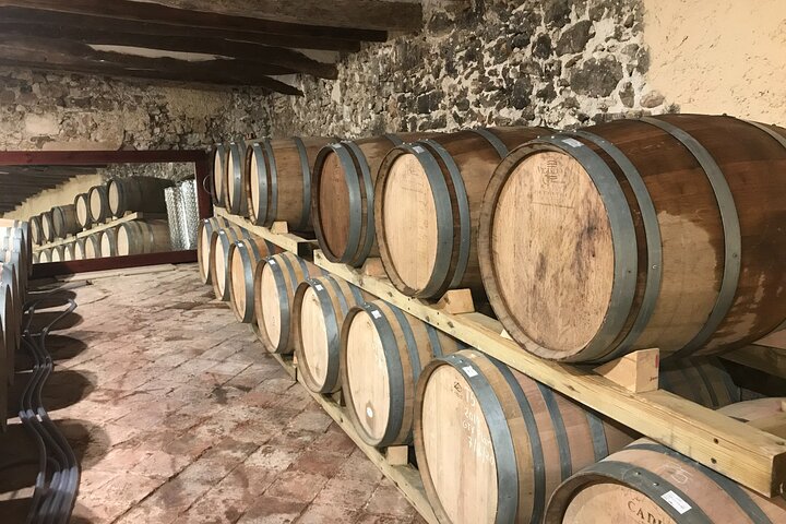 Priorat Wine Tasting Tour from Salou with hotel pickup