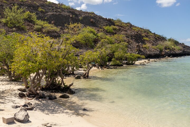 La Paz Beaches Half Day Tour