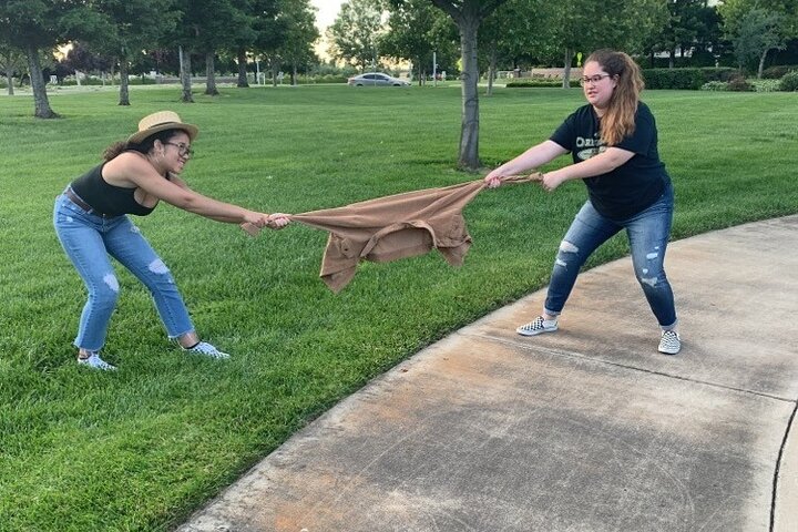 Fun City Scavenger Hunt in Albany by Wacky Walks