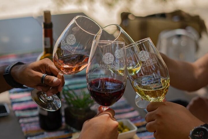 Wine tasting Valle de Guadalupe & Casa Frida