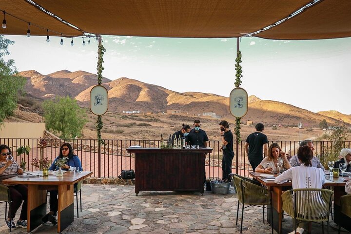 Wine tasting Valle de Guadalupe & Casa Frida