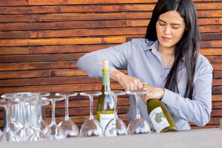 Wine tasting Valle de Guadalupe & Casa Frida