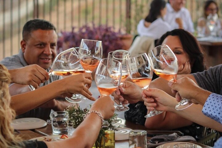 Wine tasting Valle de Guadalupe & Casa Frida