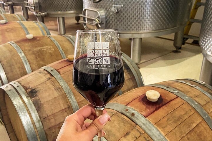 Wine tasting Valle de Guadalupe & Casa Frida
