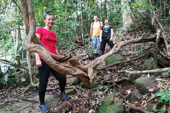 Sinharaja Rainforest Trekking Private Day Trip with Local Lunch
