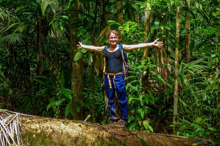 Sinharaja Rainforest Trekking Private Day Trip with Local Lunch