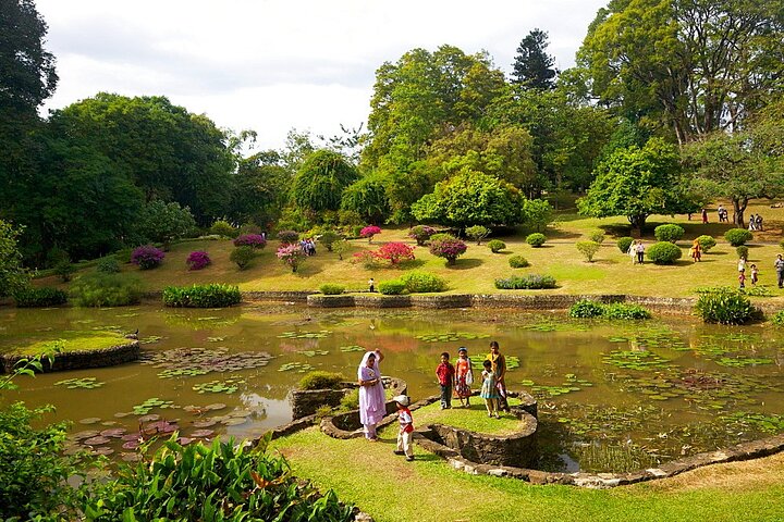 2 Day Private Tour of Kandy, Sigiriya & Dambulla - All Inclusive