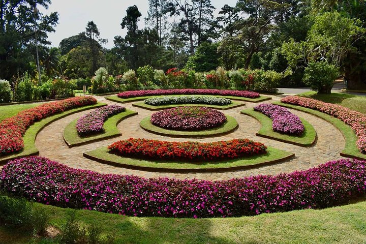Kandy Heritage & Kingdom Discovery-All Inclusive Private Day Trip