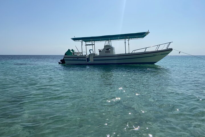 Snorkeling at Dimaniyat Islands and Dolphin Watching (Half-Day)