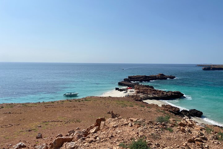 Snorkeling at Dimaniyat Islands and Dolphin Watching (Half-Day)