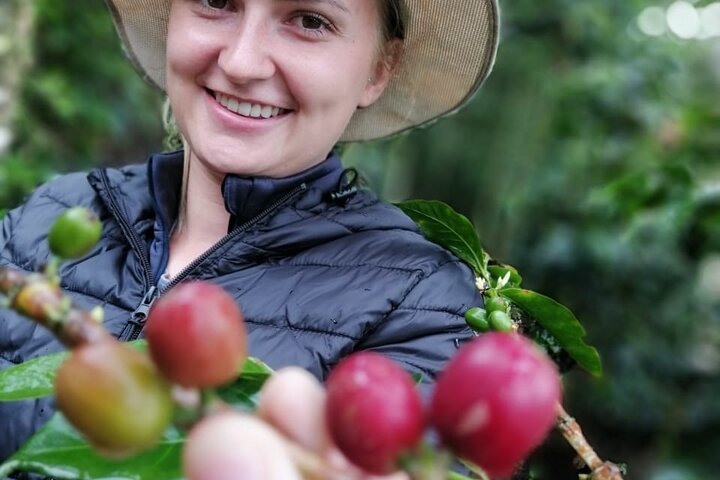 Cocora Valley, Salento and Coffee Farm Day Tour