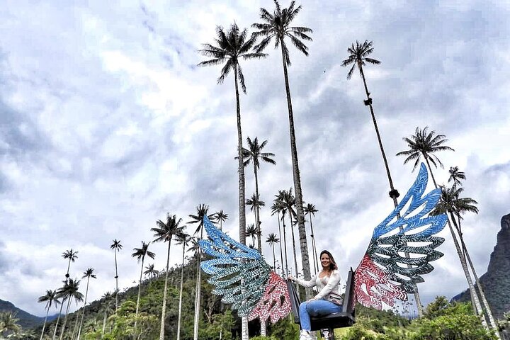 Cocora Valley, Salento and Coffee Farm Day Tour